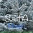 SaifA