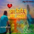 Anil More