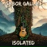 Gabor Gallai