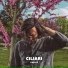 Ciliari