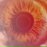 Meric