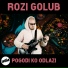 Rozi Golub