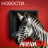 АнсамБЛЬ