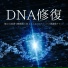 DNA治療