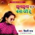 Shilpi Raj