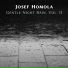 Josef Homola