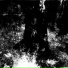 nklo