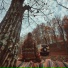 Лоу-фай для учебы