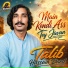 Talib Hussain Dard
