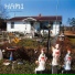 Ham1