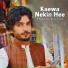 Shoaib Farhad