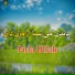 Fida Ullah