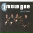 Little Bee
