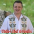 Florin Crisan