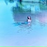 비비 (BIBI)
