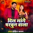 Rohit Yadav