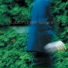 Bluebottle Kiss