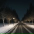 Elaris, Музыка для кафе