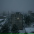 Демид Селезнёв