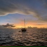 PeterSea