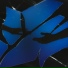 GAXILLIC