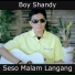 Boy Shandy