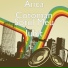 Anca Cotoman