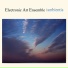 Electronic Art Ensemble