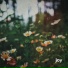 Morninglightmusic