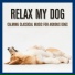 Relaxmydog, Dog Music Dreams