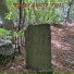 Where Shute Fell