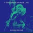 Florin Salam