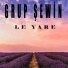 Grup Şewin