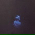 forlorn
