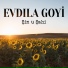 Evdıla Goyi