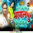 Manikant Hans