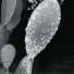 Viben