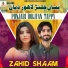 Zahid Shaam
