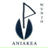 Aniakea