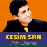 Cesim San
