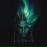 RAVNIR