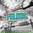 felixis