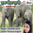 Anamika Raval
