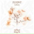 FLYJNT