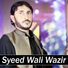 Syeed Wali Wazir