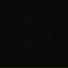 Polymorphic