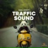 Panda Ambience, Panda Sleep, Panda Music
