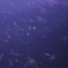 MAGENTA PLASTIC マゼンタ