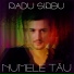 Radu Sirbu