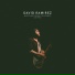 David Ramirez